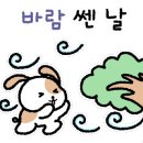 대림쌈밥 이미지