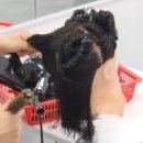 생활미용헤어 이미지