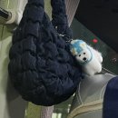 교토오사카 3박4일 여행 : 교토 1일차