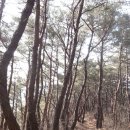 길주유소 이미지