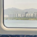 시장마을여자경로당 | 여자 혼자 제주 동쪽 2박 3일 뚜벅이 여행 (종달리 마을/성산일출봉/세화해수욕장/동문시장)