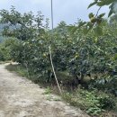 경원농장 이미지