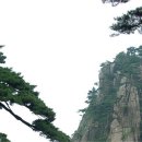 김*경 이미지