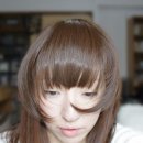 예스가발 이미지