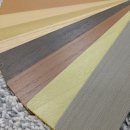 도담동도램마을상가앞BRT 이미지