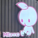 원모텔 | [숙소/서울신촌]홍대 여행 숙소 홍대 옆 신촌 숙소 추천｜신촌 모모 4만원 가성비 모텔 후기