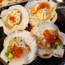 삼바리재송점 | 부산 재송동 조개구이 맛집 삼바리 내돈내산