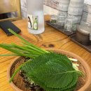 신도봉시장 원조한방 장수한방 왕족발 (feat.어리굴젓)