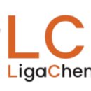 비욘드인사이트 | 리가켐바이오 'LCB 2.0' 선언: 글로벌 ADC '초격차' 노린다