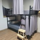 제주시청(광양방면) (광양사거리/터미널방면) 이미지