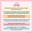 라움펫 | [후기]대구강아지유치원 &lt;라움펫&gt;후기