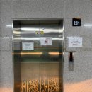 우면 | 에이바헤어 서초우면점 커트 솔직 후기 (강추)