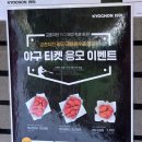 교촌치킨 신공덕점 | 교촌치킨 레드한마리 웨지감자세트 솔직후기