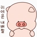 위너점핑