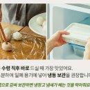 쑥향 이미지