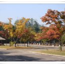 인천대공원(다목적광장) 이미지