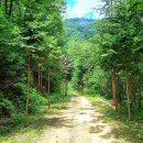 상관편백숲 쉼터 이미지