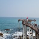 정동진역 이미지
