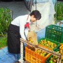 흙사랑 농장 이미지