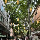 수지생태공원 이미지