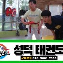 성덕태권도 이미지