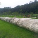 행복한나무 이미지