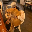 제주도게스트하우스 유로민박 | 제주도 서귀포 게스트하우스 &#34;유로민박&#34;