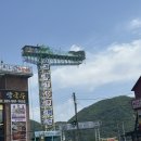사랑나눔경로식당 | [애견동반 여행] 경기도 가평 남이섬 애견동반 후기 🚢