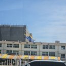 대야초등학교 | 진해군항제 교통 주차 셔틀버스 꿀팁(25.3.30방문후기)