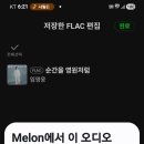 멜론 FLAC 다삭완료 이미지