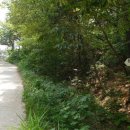 원산리약수터 이미지