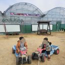 가야자동차시스템2호점 | 부산근교 김해 아이랑 가볼만한곳 가야딸기테마파크 딸기체험 후기 (가격 포함)