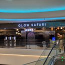 안성에너지 | 안성 스타필드 글로우사파리 아아와 체험 후기