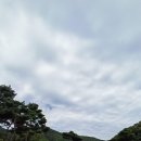 양평꽃게한상