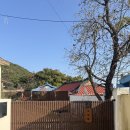 포항 감성숙소 서연당 독채펜션