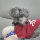 연은동물병원 이미지