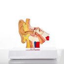 고강본동 행정복지센터 이미지