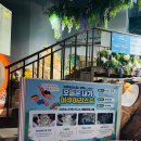 아쿠아리스트 | 대전 엑스포 아쿠아리움 아쿠아리스트 체험 후기🦈
