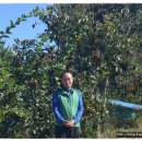 군산농협협동조합 이미지