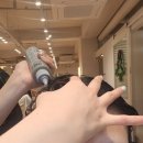 다나클리닉 | [마곡역 미용실] 디얼스 마곡역점 다나실장님 클리닉 솔직후기