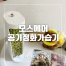 자연가습 이끼 테라리엄 | 공기정화가습기로 플랜테리어 추천 ‘모스에어 이끼테라리움가습기‘ 후기