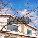카페그라운드 이미지