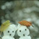 장수찜닭 이미지