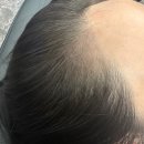 채오름SMP 이미지