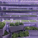 이수야 농장 이미지