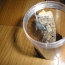 중동역(1호선) 이미지