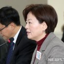 진선미 이미지