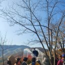 화담숲 단풍축제 후기 - 예약 꿀팁, 포토존 추천