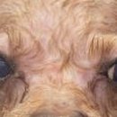 더프라임동물의료원 이미지