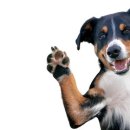 만능효소 이미지